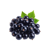 Cassis