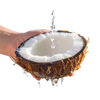 Coconut Water