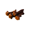 Clove