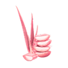 Pink Aloe