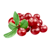 Tart Cranberries