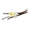 Vanilla Bean