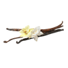 Vanilla